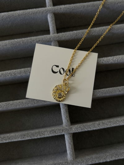 Dije buzio de oro laminado y cadena enchapada