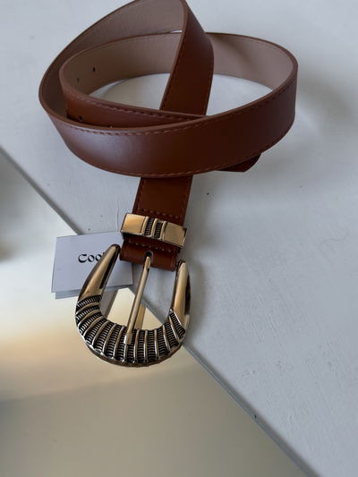 Cinto liso con hebilla dorada (camel) 
