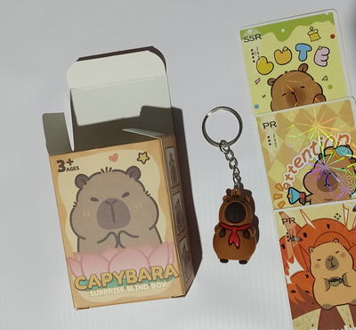 Cajas sorpresa,capibara,kuromi,labubu,etc. x12
