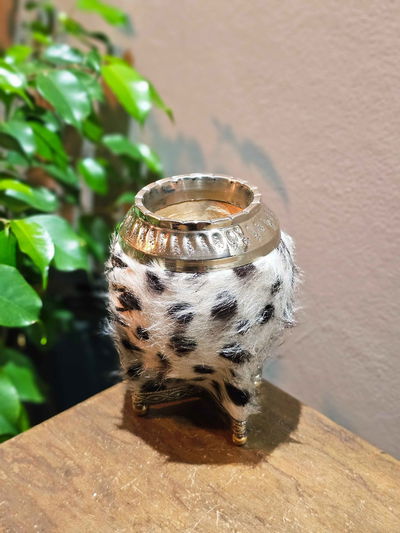 Torpedo Animal Print con base