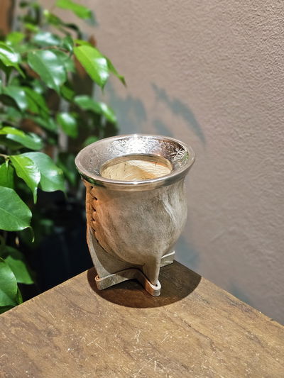 Camionero Virola Volcada Cuero Crudo