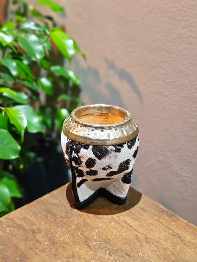 Torpedo Animal Print