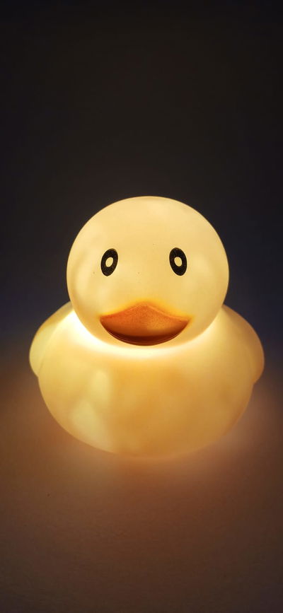 Lampara a pilas Patito