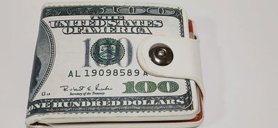 Billetera Dólar blanca con broche