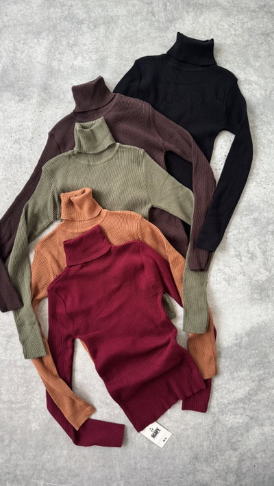 Sweater polera Amira 