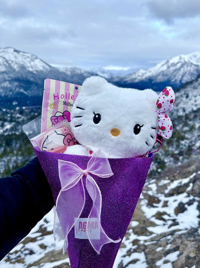 Ramo hello kitty 