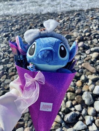 Ramo skin y Makeup stich 