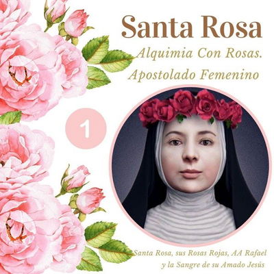 Cámara Cuántica de APOSTOLADO FEMENINO'SANTA ROSA