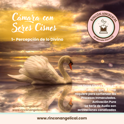 Cámara Metatrónica CON SERES CISNES