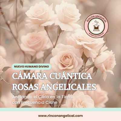 Cámara ROSAS ANGELICALES