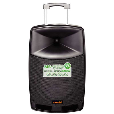 MOONKI SOUND 3000W1X12" C/2 MIC