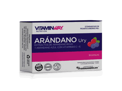 Arándano Ury x30