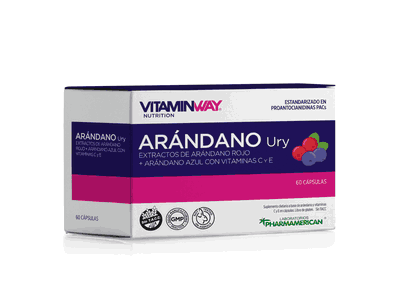 Arándano Ury x60