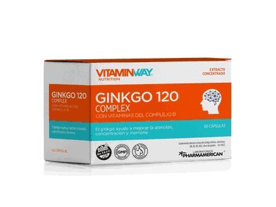 Ginko 120 Complex x60