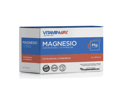 Magnesio x60