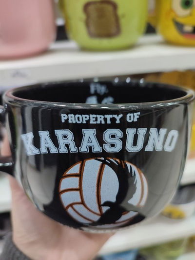 Tazón Haikyuu