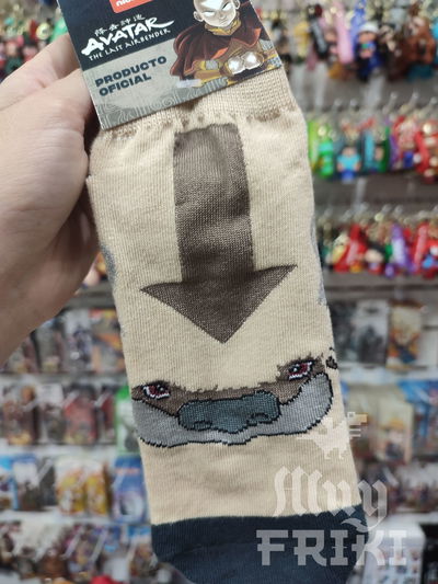 Medias soquetes Avatar La leyenda de Aang 