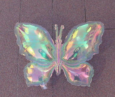 Mariposa