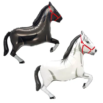 Caballos 