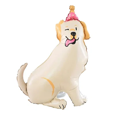 labrador