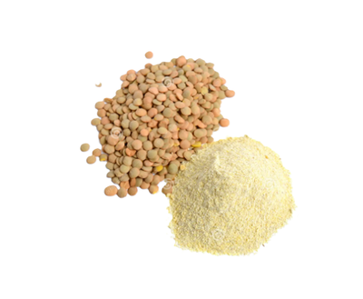 Harina de Lenteja x 500 gr