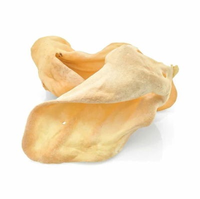 Oreja de cerdo 