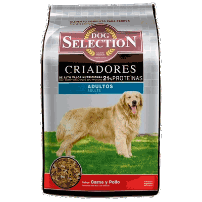 Dog Selection adulto 21 kg 