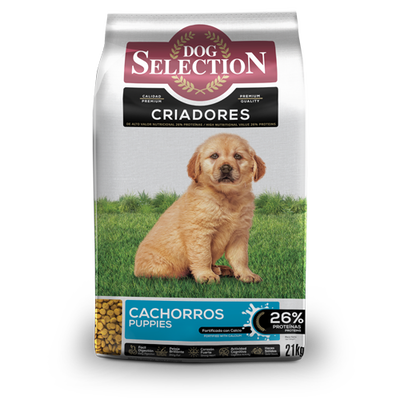 Dog Selection Puppy  21 kg