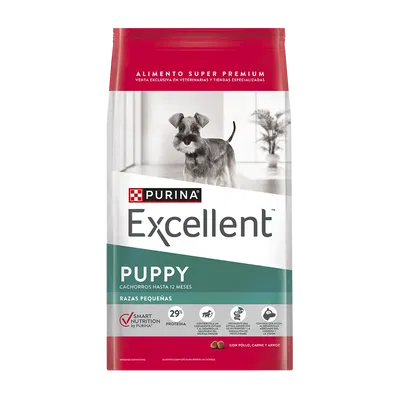 Excellent puppy Sb 