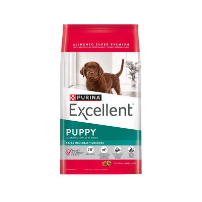 Excellent puppy mb & lb