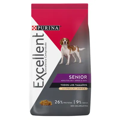 Excellent dog senior +7