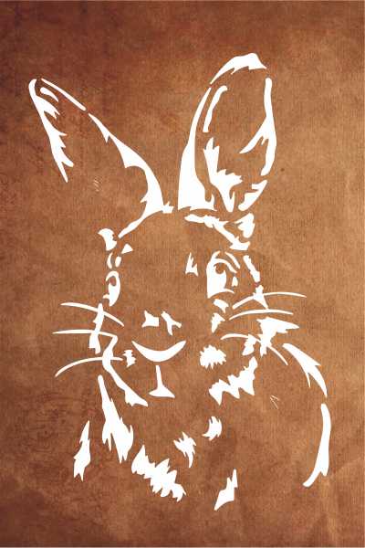 STENCIL F111 15X20