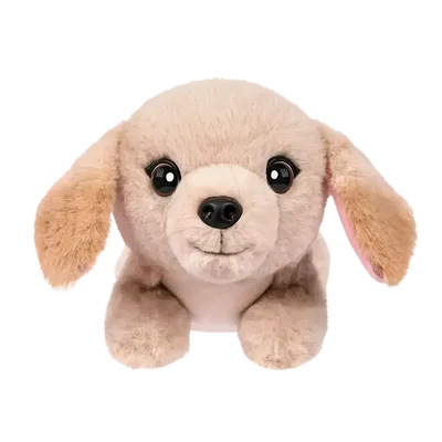 Little Live Pets | My Really Real