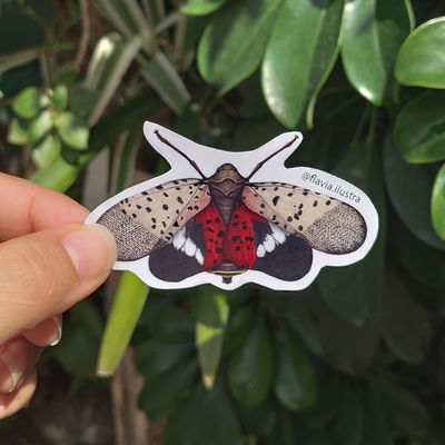 Sticker Polilla Vesta