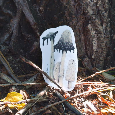 Sticker Hongo Matacandril