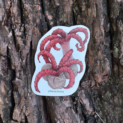 Sticker Hongo Dedos de diablo