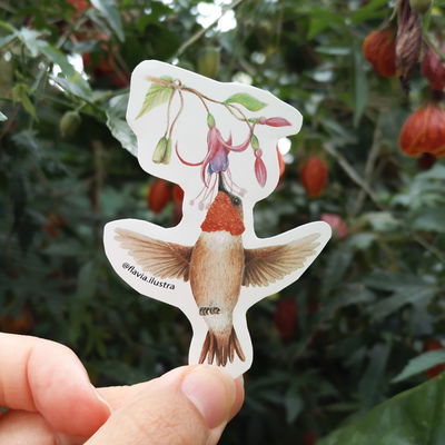 Sticker Colibri Zumbador Canelo