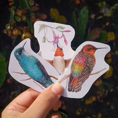 Stickers Colibries x3