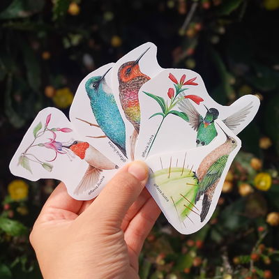 Stickers Colibries x5