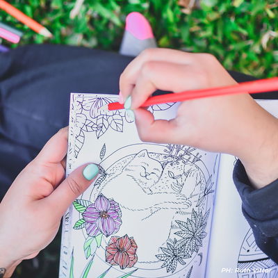 Botanicat: Librito para colorear de gatitos