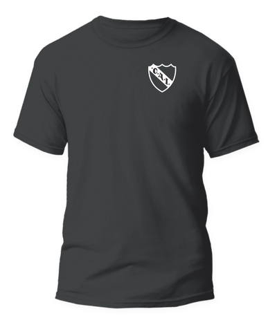 Remera Escudo CAI - 4 colores