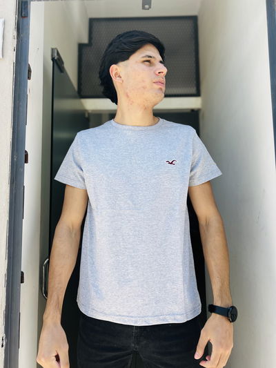 Remera Hollister Gris Lisa