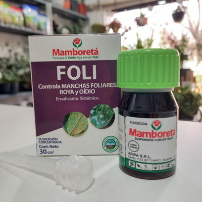 Mamboreta Foli