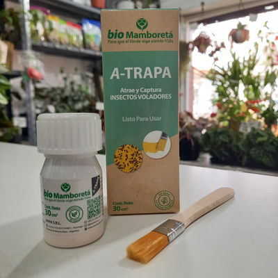 Trampa A-Trapa Mamboretá 30cc