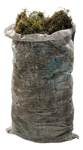 Musgo Tucumano 500 Gr 