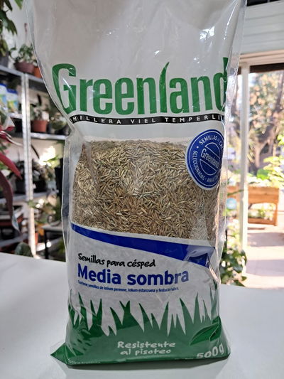 Greenland Semillas césped Media Sombra