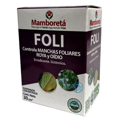 Mamboreta Foli