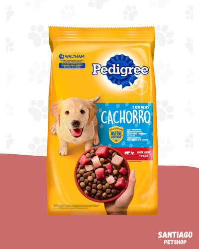 Pedigree Cachorro