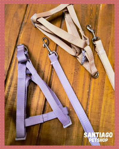 Conjunto liso pastel