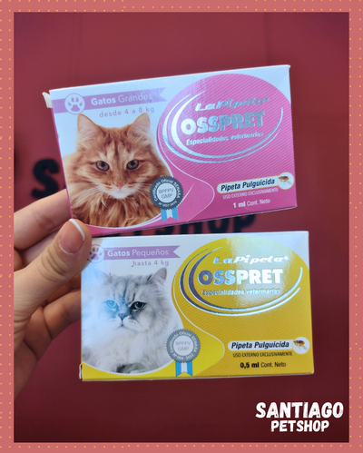 Pipeta OSSPRET Gatos
